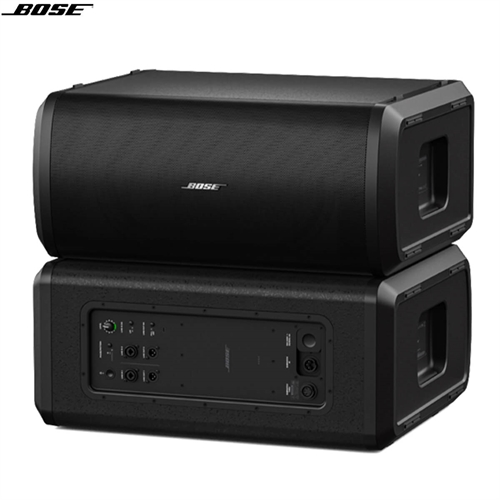 Loa Bose Sub2 5